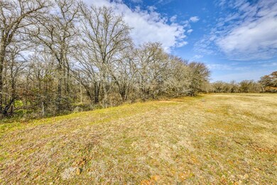 000C Lacy Dr, Lipan, TX 76462 - photo 4