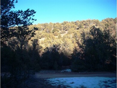 213 S Arizona Rd, Ash Fork, AZ 86320 - photo 4