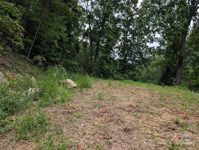 99999 Running Deer Ln unit 74, Mars Hill, NC 28754 - photo 6