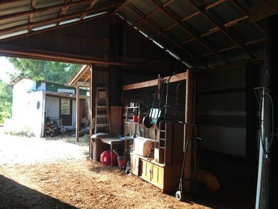 16036 Bald Hill Rd SE, Yelm, WA 98597 - photo 5