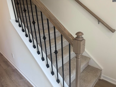 538 Griffon Dr, Chapin, SC 29036 - photo 3