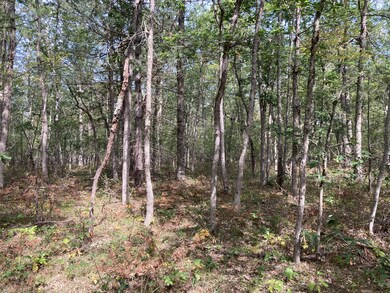 PAR 4 Cleveland Dr W, Lilley Township, MI 49309 - photo 3