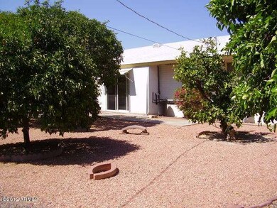 Backyard 4