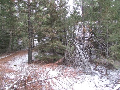 0 Highland Lp unit 721902, Ronald, WA 98940 - photo 7