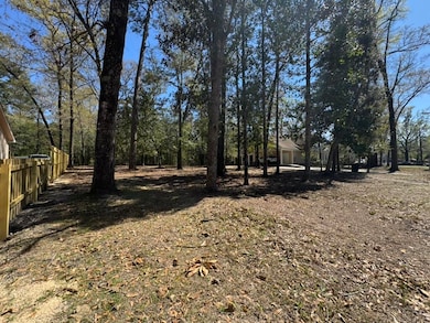 0 Dowling Ave, Walterboro, SC 29488 - photo 3