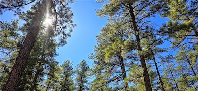 8057 Bannock Dr, Larkspur, CO 80118 - photo 3