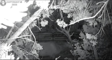 6179 County Road 84, Florence, CO 81226 - photo 3