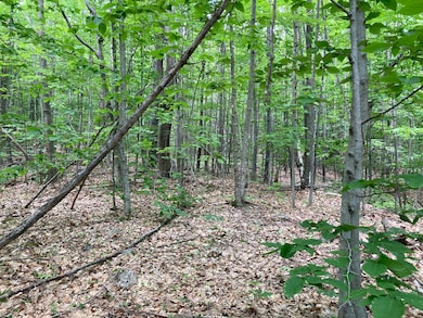 M4 L9-7 Rosenberg Rd, Sumner, ME 04292 - photo 4