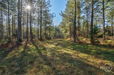 0 Georgia 77 unit CL339774, Lexington, GA 30648 - photo 4