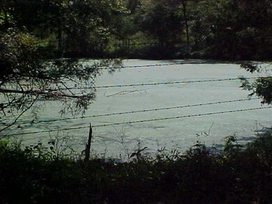 pond 2