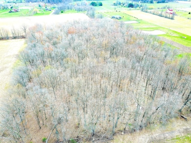DJI_0977