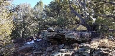 Rock outcroppings abound on this property!