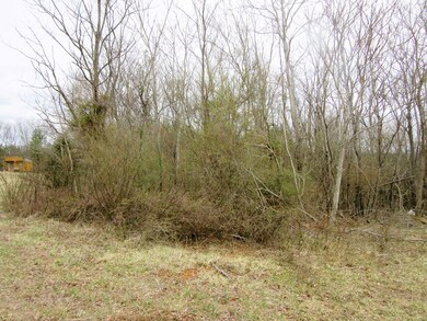 5 Acres Callands Rd, Callands, VA 24530 - photo 7