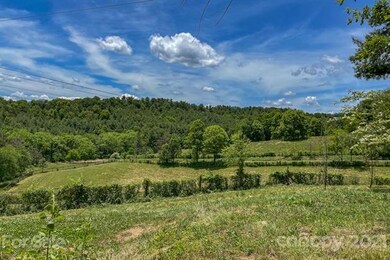 43 Don Felmet Rd, Leicester, NC 28748 - photo 6