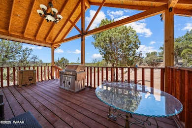 Huge Covered Deck