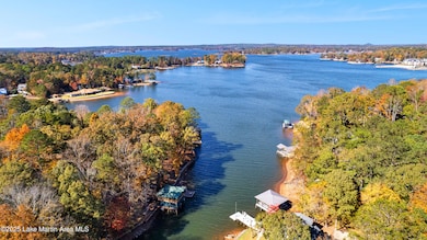 701 Windy Point Dr, Dadeville, AL 36853 - photo 5