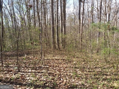 620 Ivy Creek Dr, Nicholson, GA 30565 - photo 3