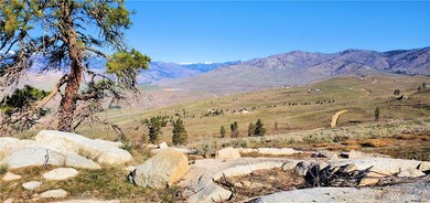 38 Cowboy Rd unit 38, Methow, WA 98834 - photo 3