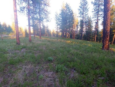 gentle slop off to undeveloped lots