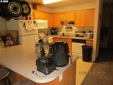 141 Fairacres Ln, Roseburg, OR 97470 - photo 5