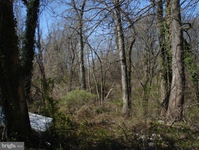 905 Old Walnut St, Capitol Heights, MD 20743 - photo 2