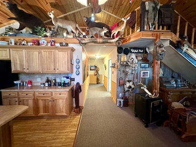 13322 Arkansas 115, Maynard, AR 72444 - photo 5