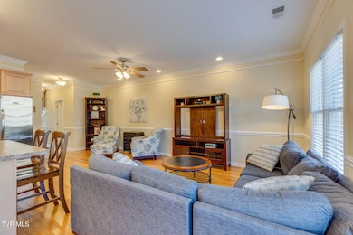 200 Deck Ln unit 802, Blountville, TN 37617 - photo 5