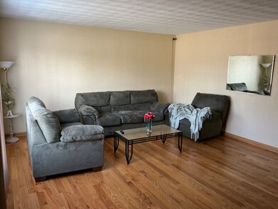 618 W Bevan Dr, Joliet, IL 60435 - photo 2