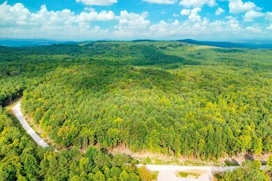 0 Spokelay Rd unit RTC2812627, Spencer, TN 38585 - photo 5