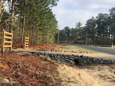 Ledbetter Land Pic-Front Side Driveway S