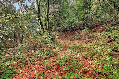 0 Burgundy unit SN25270403, Forest Ranch, CA 95942 - photo 5