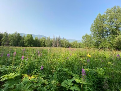 IMG-0510