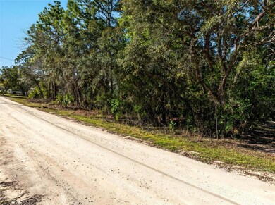 9003 Glenarm Way, Weeki Wachee, FL 34613 - photo 2