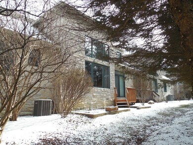 4913 - Treed back views