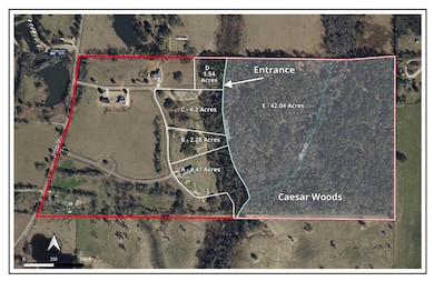 1452d Caesar Necaise Rd, Carriere, MS 39426 - photo 2