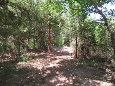 1456 Greenwood Ln, Forestburg, TX 76239 - photo 6