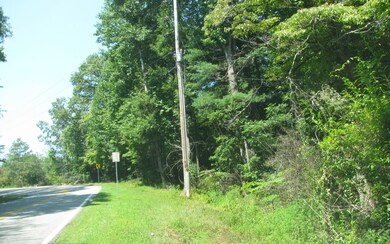 Additional View