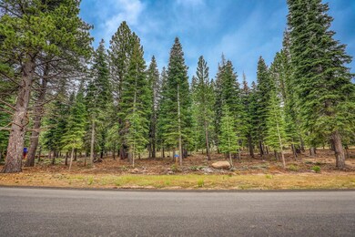 9270 Brae Rd, Truckee, CA 96161 - photo 4