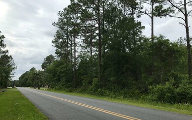TBD Scenic Lake Dr, Lake City, FL 32055 - photo 3