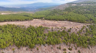 15 ac Round Mountain Rd, Heavener, OK 74937 - photo 7