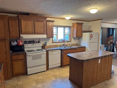 3899 Miami Beach Dr, Cheboygan, MI 49721 - photo 6