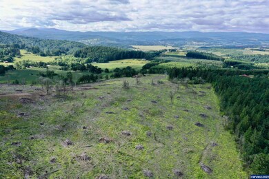 21230 Stone Rd, Sheridan, OR 97378 - photo 4