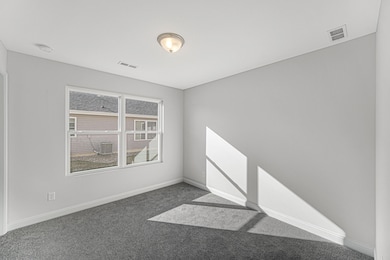 10056 W 133rd Place, Cedar Lake, IN 46303 - photo 4