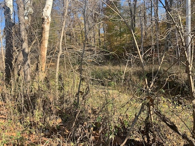 12166 Ohio 93, Logan, OH 43138 - photo 7