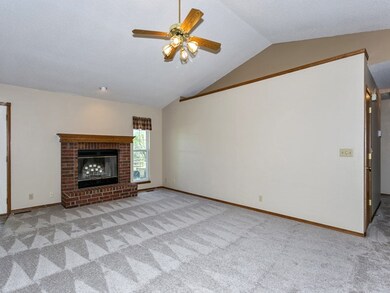 WOOD BURNING FIREPLACE WITH GAS STARTER