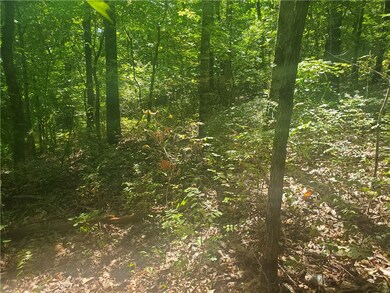 0 Netherton Ln, Bella Vista, AR 72715 - photo 7