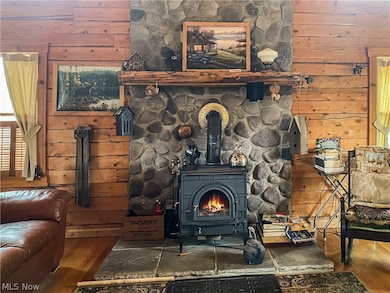 Details with wood walls, dark hardwood / wood-style floors, and a wood stove