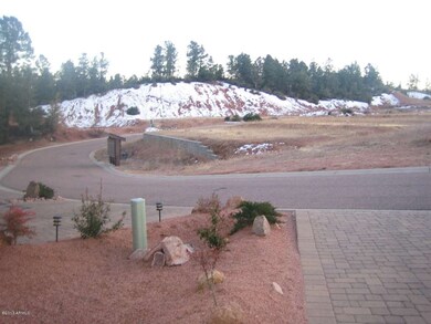 Copy of Front yard