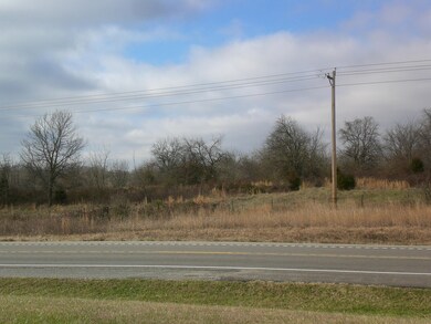 0 S State Hwy 160 unit 60042186, Nixa, MO 65714 - photo 2