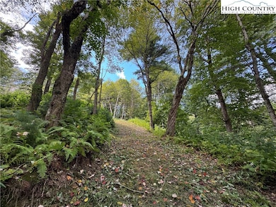 TBD Wyeth Dr, Blowing Rock, NC 28605 - photo 7